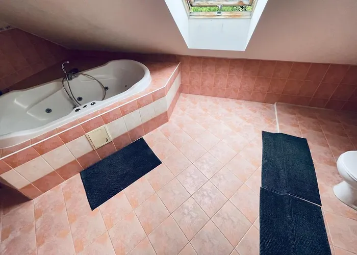 Zaneta